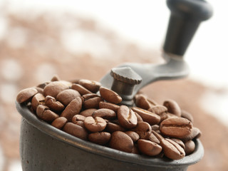 coffee grinder