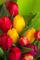 tulip bouquet