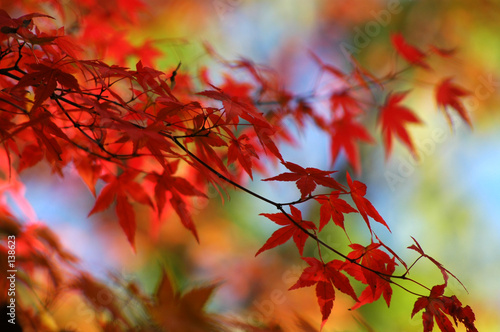природа рельсы осень листья деревья nature rails autumn leaves trees загрузить