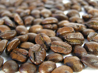 coffee of grains