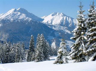 Plakaty  alpejska scena śnieżna
