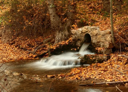afluente del guadalaviar en otoño