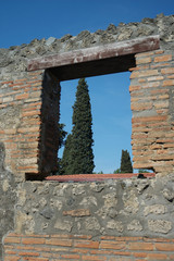 tree behind ruins