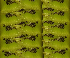 kiwi & art nr.5