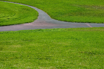 grass path #3