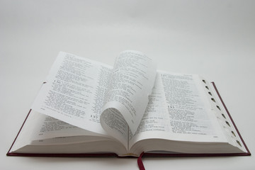 bible pages