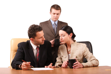 business team at work - horizontal