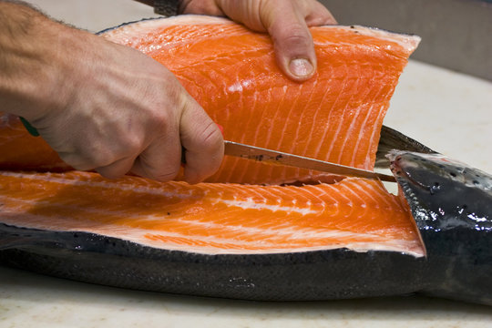 saumon