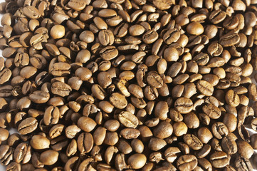 Fototapeta premium coffee grains