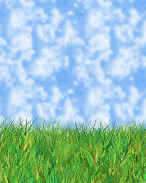 cloudy blue sky and grass illustration