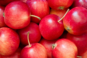 Fototapeta na wymiar red apples (2)