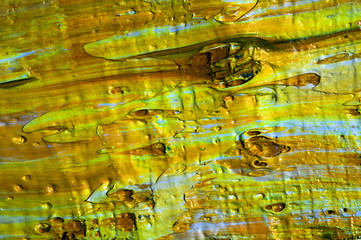 abstract 5