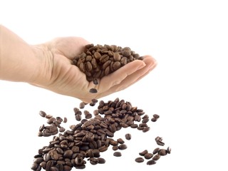 coffee beans 2