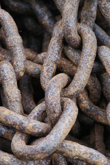 shackles 1