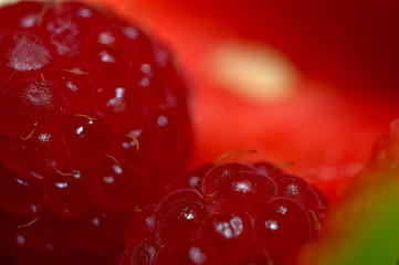 framboise 12