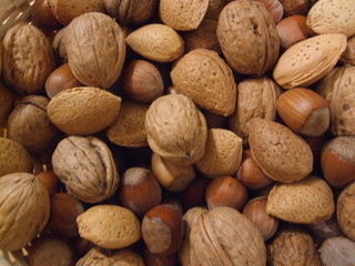 nature morte