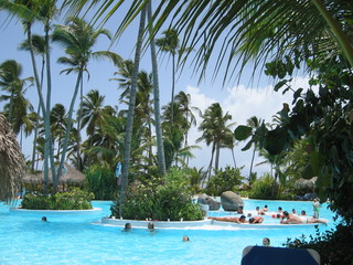 piscine et palmier
