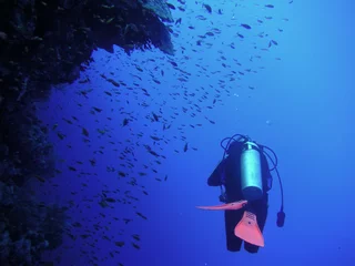 Rolgordijnen diver below reef © Dirk Paessler