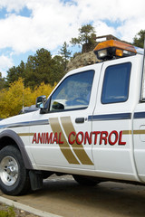 animal control vehicle