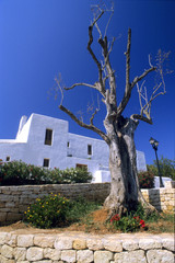 sant miquel