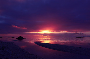 tropical pink sunset
