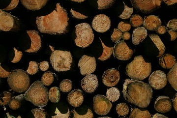 holzstapel