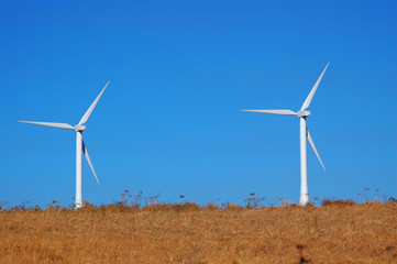 california windmills
