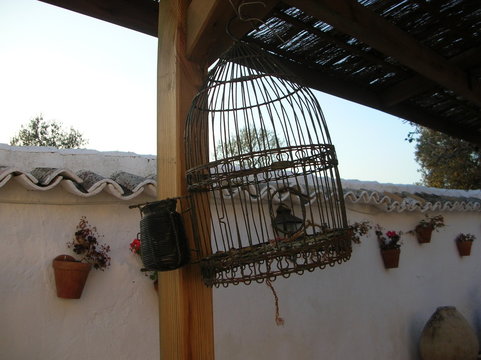 jaula en el patio