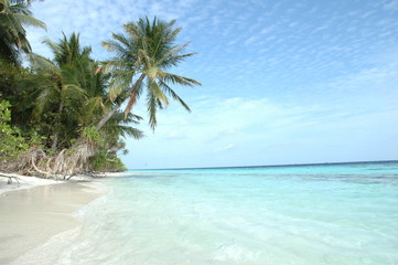 Fototapeta na wymiar plaża w Malediwach