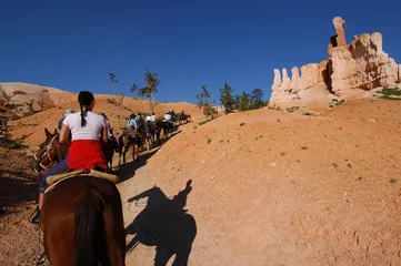 Deurstickers Paardrijden riding