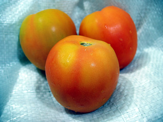 tomato
