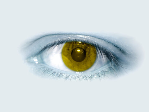 yellow eye