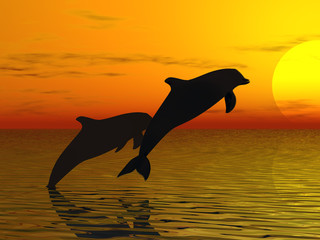 deux dauphins nageant