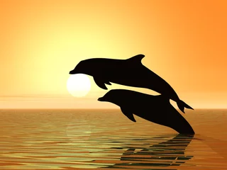 Papier Peint photo autocollant Dauphins dauphins et coucher de soleil