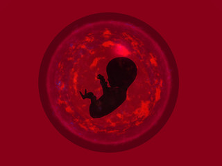 fetus iii