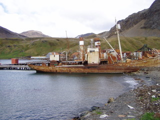 whaler boat