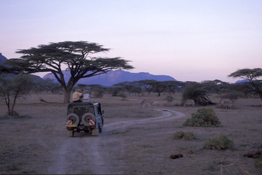 safari truck and zebra