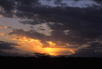 Obraz premium desert sunset