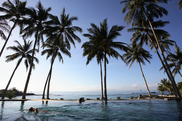 coconut trees & swimming pool