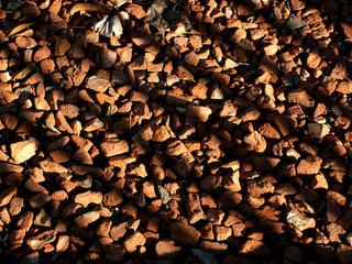 shadows on stones