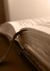 bible