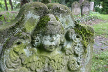 grabstein judenfriedhof lemgo