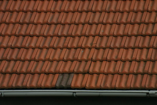 dach