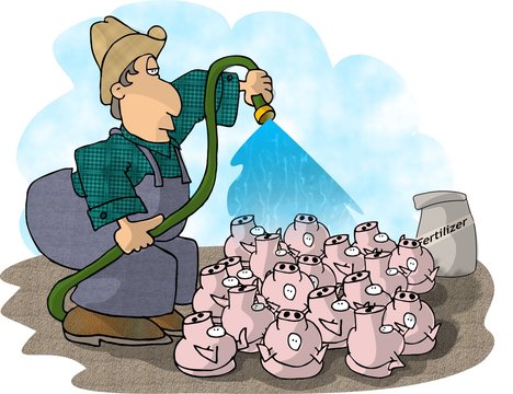 pig farmer