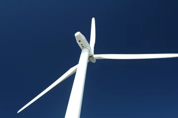 Photo sur Plexiglas Moulins wind mills