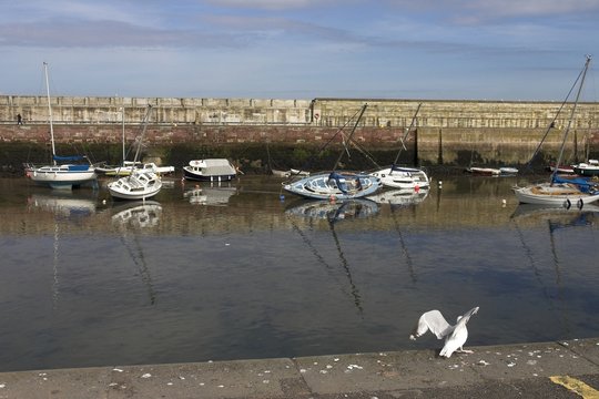 Fototapeta dunbar harbour