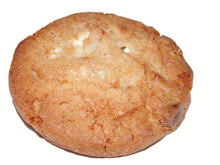 biscuit