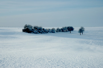 Fototapeta na wymiar biały krajobraz