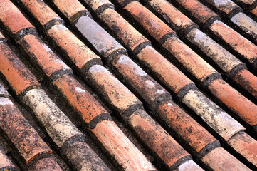 roof texture