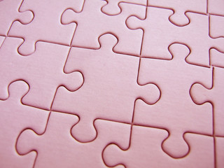 Fototapeta premium puzzle rose